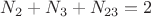 $N_2+N_3+N_{23}=2$