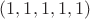 $(1, 1, 1, 1, 1)$