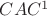 $CAC^1$