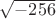$\sqrt{-256}$