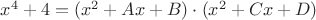 $x^4 + 4 = (x^2+ Ax+B)\cdot(x^2 + Cx + D)$