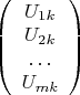 $\left( \begin{array}{ccc} 
U_{1k} \\ 
U_{2k} \\ 
\hdots \\
U_{mk}
\end{array} \right)$