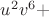 $ u^2 v^6 +$