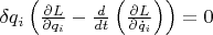 {{\delta q}_{i}}\left( \frac{\partial L}{\partial {{q}_{i}}}-\frac{d}{dt}\left(\frac{\partial L}{\partial {{{\dot{q}}}_{i}}} \right) \right)=0$