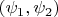 $(\psi_1, \psi_2)$