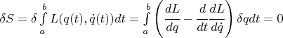 $ \delta S = \delta \int\limits_a^b L(q(t), \dot q(t)) dt = \int\limits_a^b  \left( \cfrac{dL}{dq} - \cfrac{d}{dt} \cfrac{dL}{d \dot q} \right) \delta q dt =0$