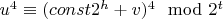 $u^4\equiv (const2^h+v)^4\mod 2^t$