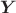 $\boldsymbol{Y}$