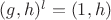$(g,h)^l=(1,h)$