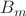 $B_{m}$