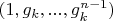 $(1, g_k, ..., g_k^{n-1})$
