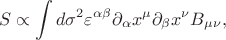 $$S\propto\int d\sigma^2\varepsilon^{\alpha\beta}\partial_\alpha x^\mu\partial_\beta x^\nu B_{\mu\nu},$$