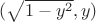 $(\sqrt{1 - y^2}, y)$ $(\sqrt{1 - y^2}, y)$