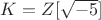 $K=Z[\sqrt {-5}]$