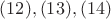 $(12),(13),(14)$