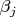 $\beta_j$