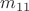 $m_{11}$ $m_{11}$