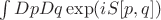 $\int DpDq \exp(iS[p,q])$