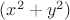 ${(x^2+y^2)}$