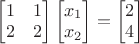 $\begin{bmatrix}1&1\\2&2\end{bmatrix}\begin{bmatrix}x_1\\x_2\end{bmatrix}=\begin{bmatrix}2\\4\end{bmatrix}$
