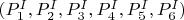 $(P_1^{I},P_2^{I},P_3^{I},P_4^{I},P_5^{I},P_6^{I})$