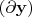 $(\partial\mathbf y)$