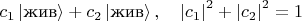 $c_1\left|\text{жив}\right>+c_2\left|\text{жив}\right>,\quad\left|c_1\right|^2+\left|c_2\right|^2=1$