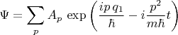 $$\Psi=\sum_p A_p\,\exp \left (\frac{ip\,q_1}{\hbar}-i\frac{p^2}{m\hbar}t\right)$$