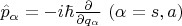 $\hat{p}_\alpha = -i\hbar \frac{\partial}{\partial q_\alpha} \ (\alpha=s,a)$