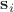 $\mathbf{s}_i$