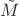 $\tilde{M}$