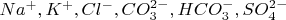 $Na^+, K^+, Cl^-, CO_{3}^{2-}, HCO_{3}^{-}, SO_{4}^{2-}$