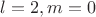 $l = 2, m = 0$