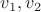 $v_{1},v_{2}$