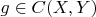 $g \in C(X,Y)$