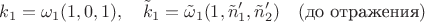 $$
k_1=\omega_1(1,0,1),\quad \tilde{k}_1=\tilde{\omega}_1(1,\tilde{n}'_1,\tilde{n}'_2)\quad (\mbox{до
отражения})
$$