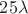 $25\lambda$