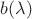 $b(\lambda)$