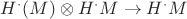 $H^{\cdot}(M)\otimes H^{\cdot}M\to H^{\cdot}M$