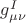 $g_{\mu\nu}^I$