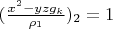 $(\frac{x^2-y z g_k}{\rho_1})_2=1$