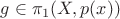 $g\in \pi_1(X,p(x))$