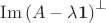 $\operatorname{Im}\left(A-\lambda \mathbf 1\right)^\perp$