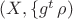 $(X, \{g^t}\, \rho)$