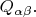$Q_{\alpha \beta}.$