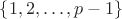 $\{1, 2, \dots, p-1\}$