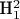 H_1^2
