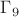 $\Gamma_9$ $\Gamma_9$