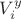 $V_i^y$