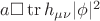 $a \square \operatorname{tr}h_{\mu\nu} \lvert\phi\rvert^2$